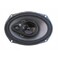 DLS M1369
